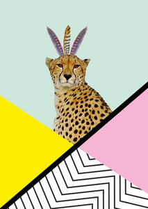 poster cheetah disco
