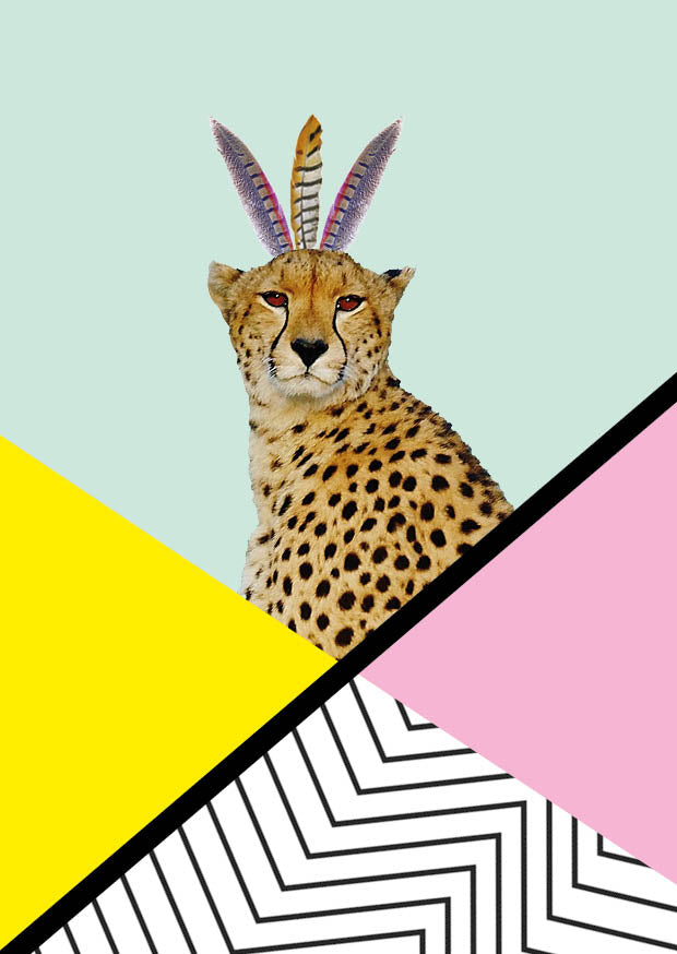 kaart cheetah disco