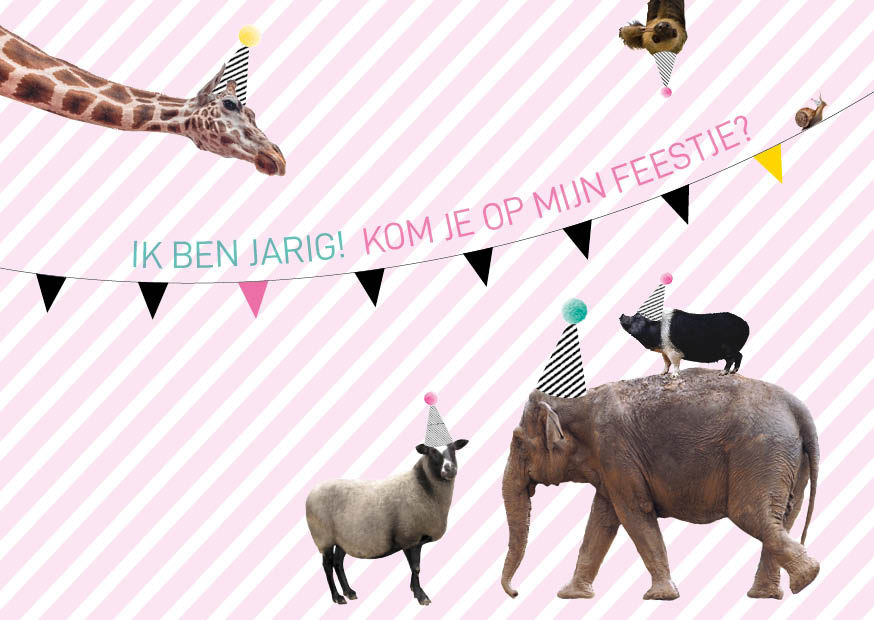 kinderfeestje set 5 uitnodigingen roze